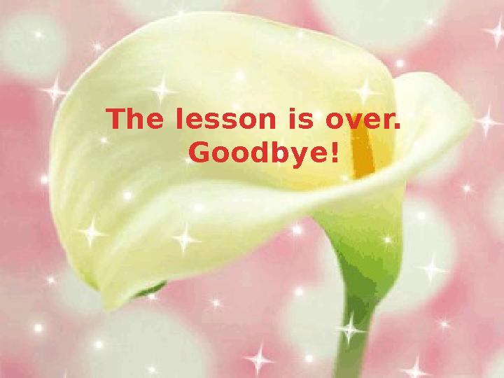 The lesson is over. Goodbye!