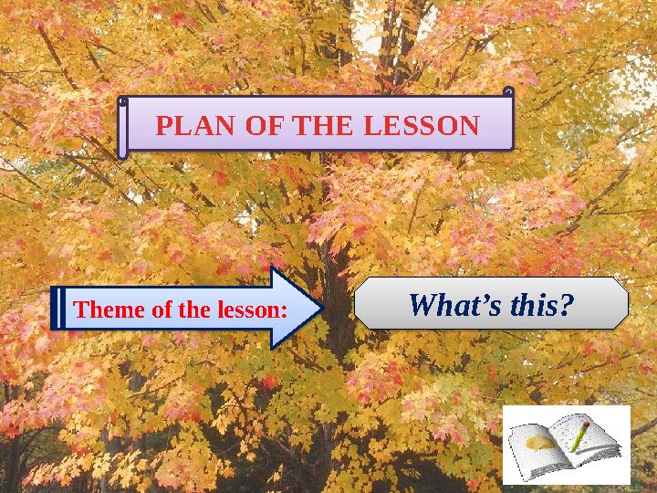 PLAN OF THE LESSON Theme of the lesson: What’s this?