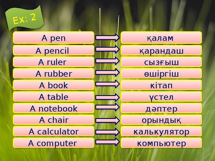A pencil A ruler A pen A book A rubber A table A notebook A chair A calculator A computer қарандаш сызғыш қалам