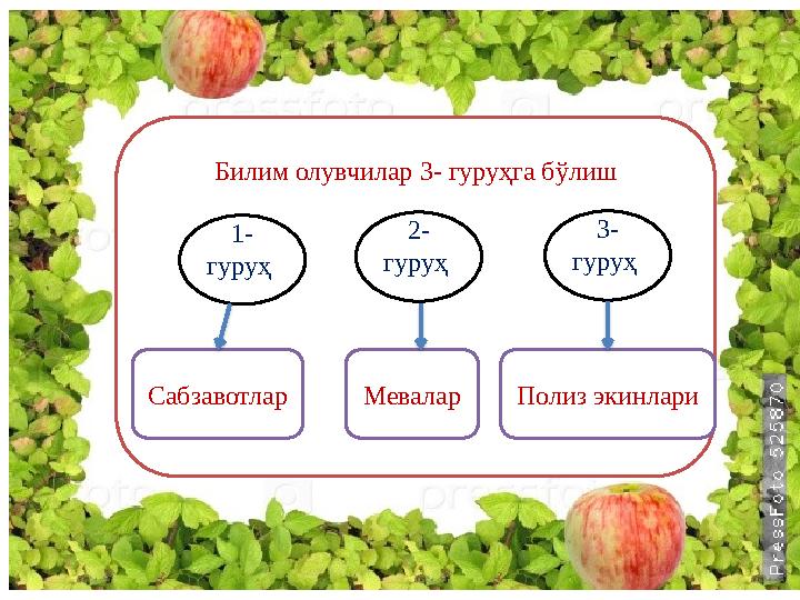 Билим олувчилар 3- гуруҳга бўлиш 1- гуруҳ 2- гуруҳ 3- гуруҳ Сабзавотлар Мевалар Полиз экинлари