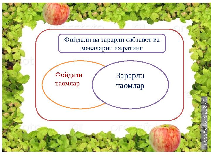 Фойдали таомлар Зарарли таомлар Фойдали ва зарарли сабзавот ва меваларни ажратинг