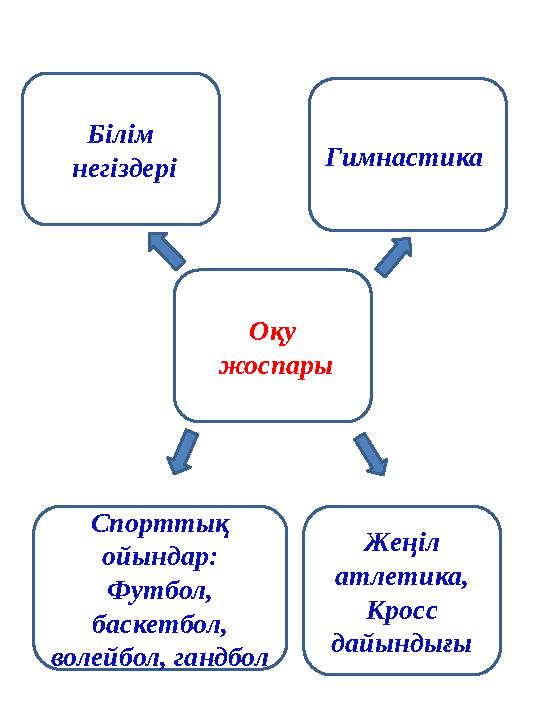 Оқу жоспары Гимнастика Жеңіл атлетика, Кросс дайындығы Спорттық ойындар: Футбол, баскетбол, волейбол, гандбол Білім негі