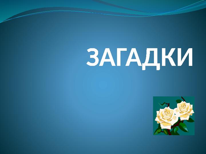 ЗАГАДКИ