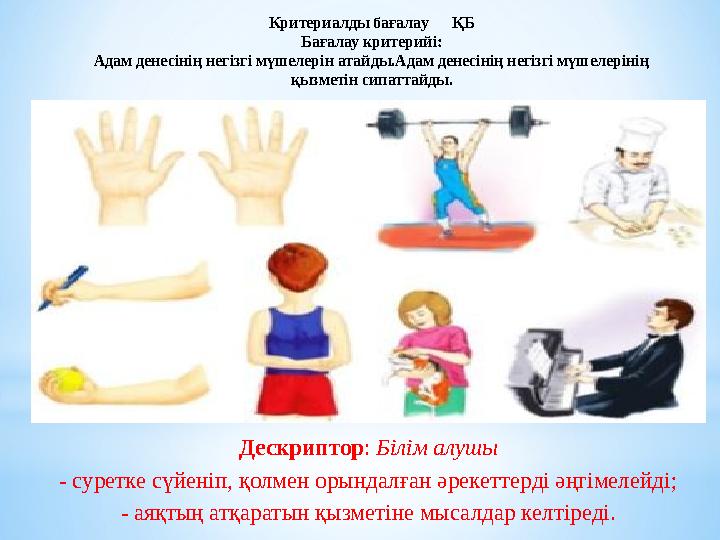 * Критериалды бағалау ҚБ Бағалау критерийі: Адам денесінің негізгі мүшелерін атайды.Адам денесінің негізгі мүшелерінің қыз