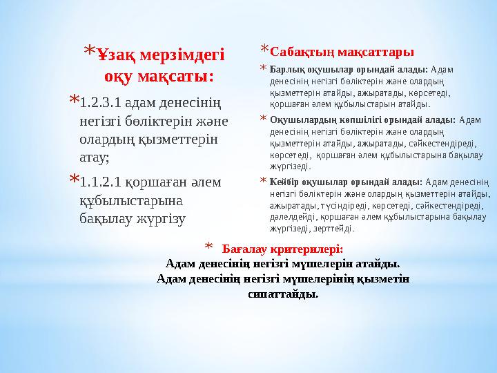 Анилинді жыныстық қатынас