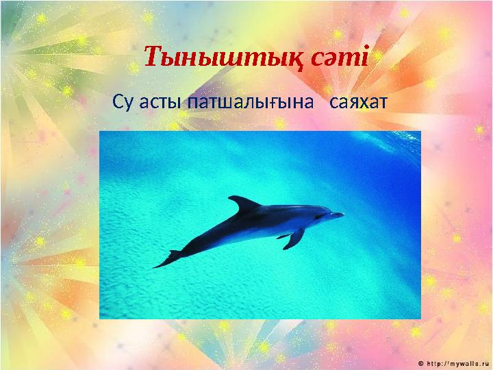 Тыныштық сәті Су асты патшалығына саяхат