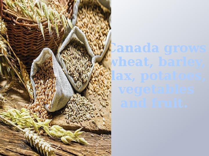 Canada grows wheat, barley, flax, potatoes, vegetables and fruit.