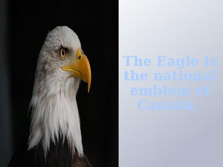 The Eagle is the national emblem of Canada.