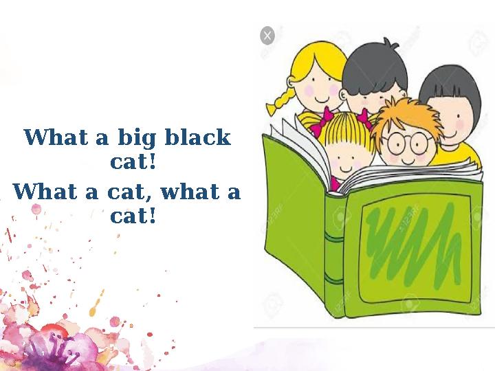 What a big black cat! What a cat, what a cat!