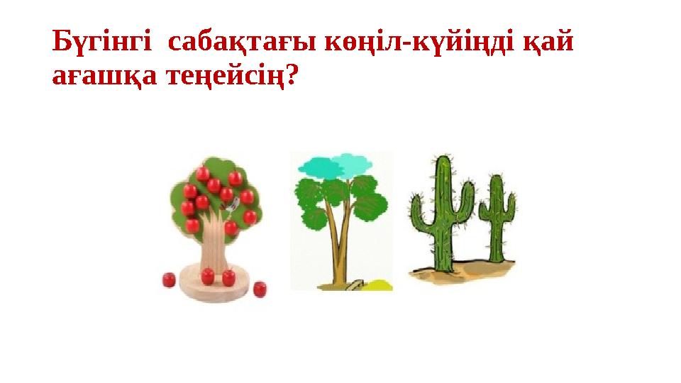 Бүгінгі сабақтағы көңіл-күйіңді қай ағашқа теңейсің?