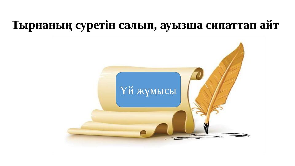 Үй жұмысы Тырнаның суретін салып, ауызша сипаттап айт