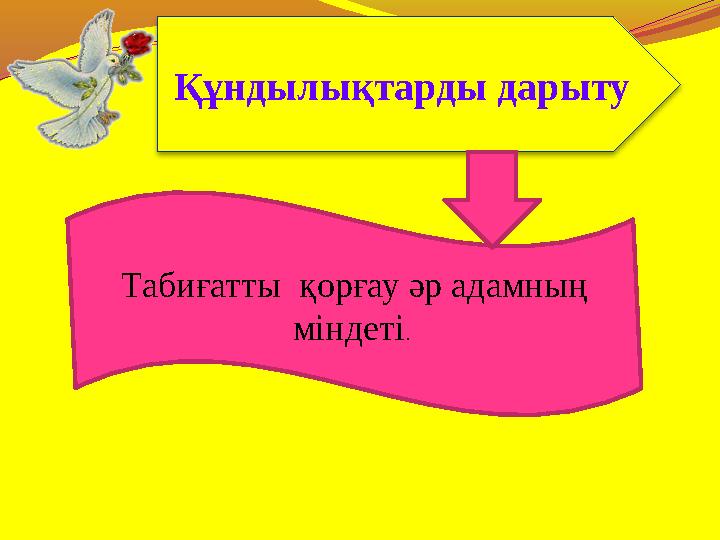 Құндылықтарды дарыту Табиғатты қорғау әр адамның міндеті.
