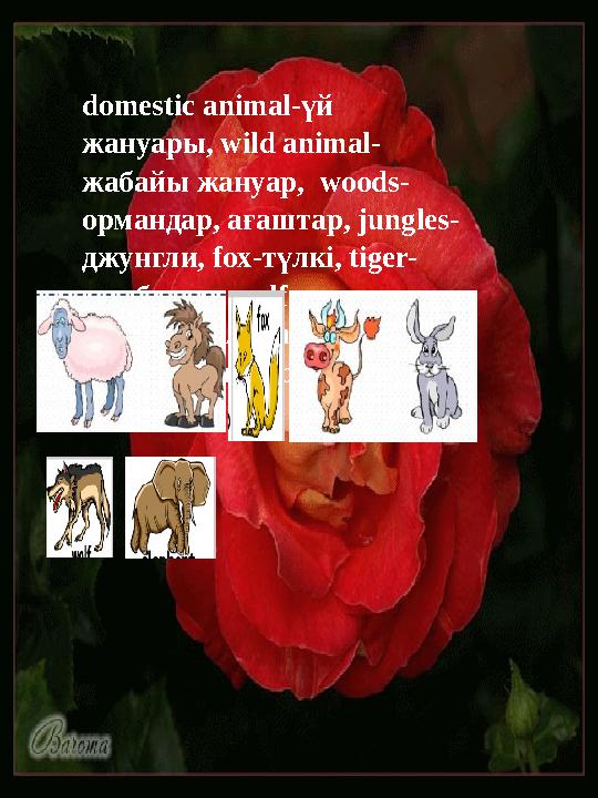 domestic animal-үй жануары, wild animal- жабайы жануар, woods- ормандар, ағаштар, jungles- джунгли, fox-түлкі, tiger- жолбар
