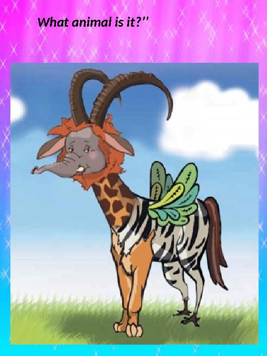 What animal is it?’’