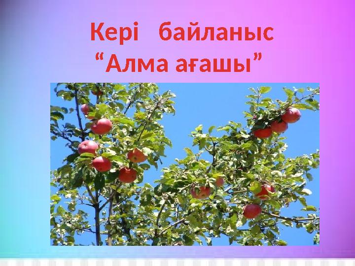 Кері байланыс “Алма ағашы”