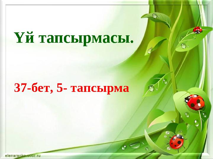 Үй тапсырмасы. 37-бет, 5- тапсырма