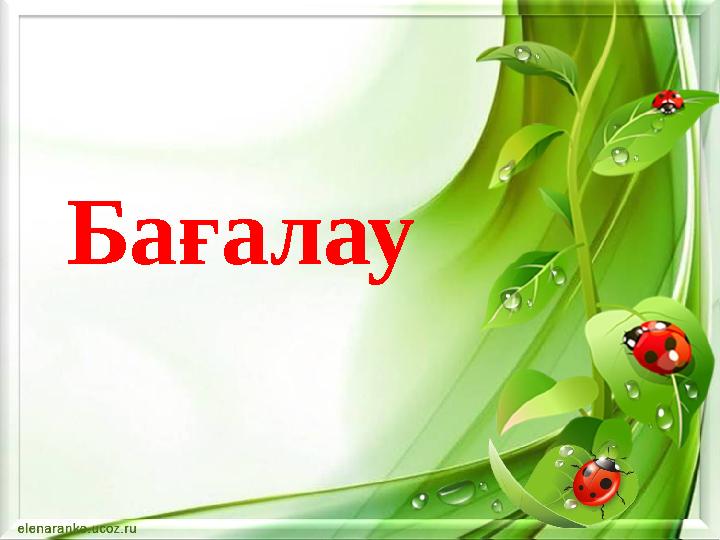 Бағалау