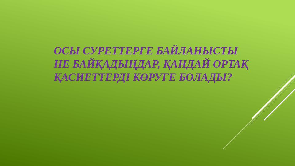 ОСЫ СУРЕТТЕРГЕ БАЙЛАНЫСТЫ НЕ БАЙҚАДЫҢДАР, ҚАНДАЙ ОРТАҚ ҚАСИЕТТЕРДІ КӨРУГЕ БОЛАДЫ?