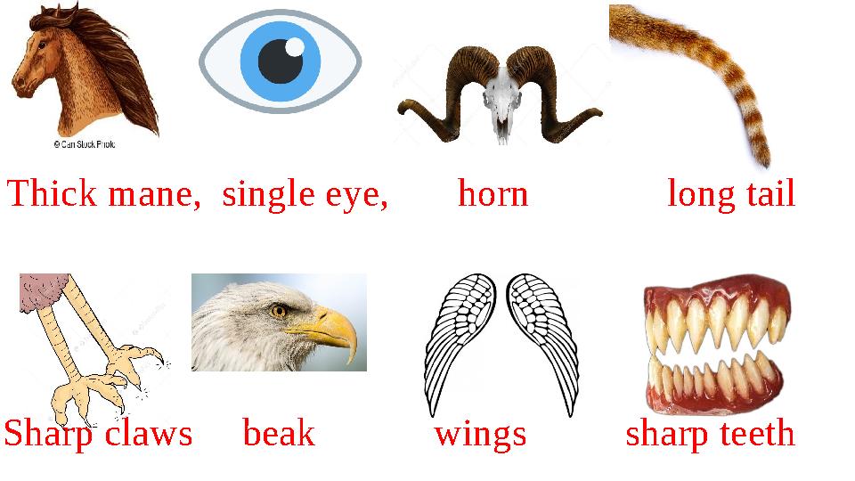 Thick mane, single eye, horn long tail Sharp claws beak wings sharp teeth