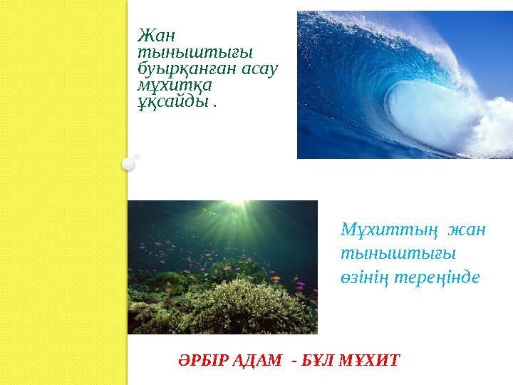 Мұхиттың жан тыныштығы өзінің тереңінде Жан тыныштығы буырқанған асау мұхитқа ұқсайды . ӘРБІР АДАМ - БҰЛ МҰХ