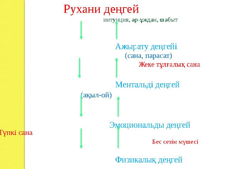 Рухани деңгей интуиция, ар-ұждан, шабыт