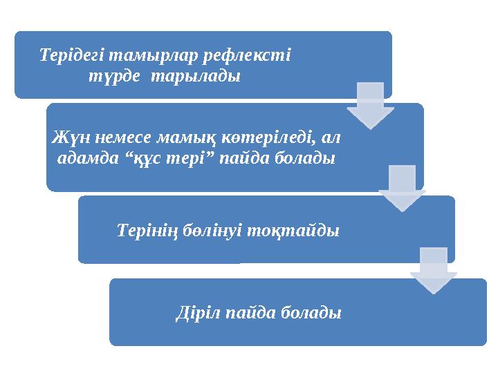 Терідегі тамырлар рефлексті түрде тарылады Жүн немесе мамық көтеріледі, ал адамда “құс тері” пайда болады Терінің бөлінуі тоқ