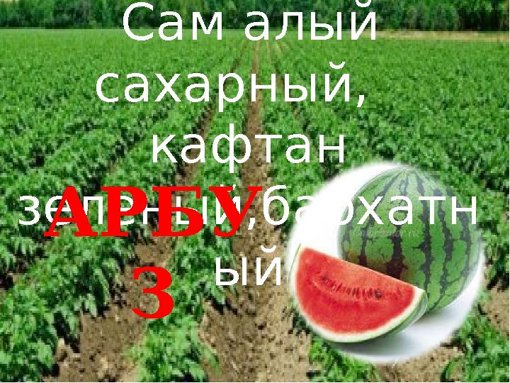 Сам алый сахарный, кафтан зеленый , бархатн ыйАРБУ З