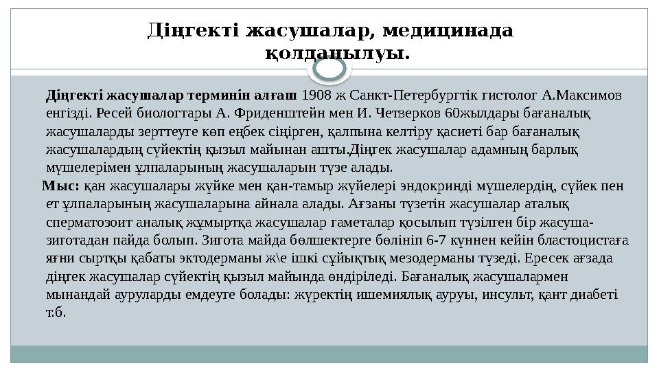 Діңгекті жасушалар терминін алғаш 1908 ж Санкт-Петербургтік гистолог А.Максимов енгізді. Ресей биологтары А. Фриденштейн м