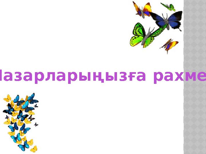 Назарларыңызға рахмет!