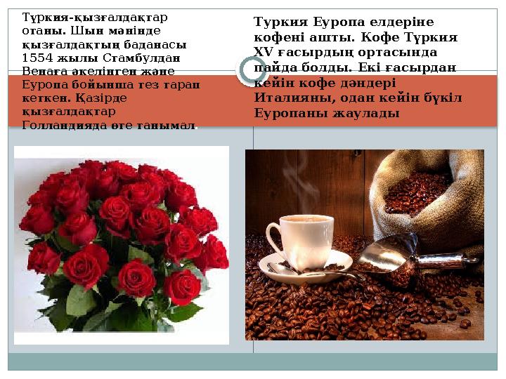 Түркия-қызғалдақтар отаны. Шын мәнінде қызғалдақтың баданасы 1554 жылы Стамбулдан Венаға әкелінген және Еуропа бойынша т