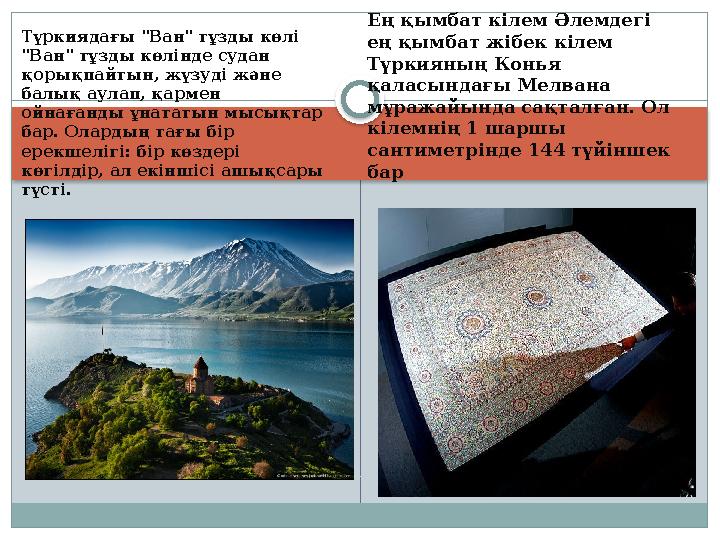 Түркиядағы "Ван" тұзды көлі "Ван" тұзды көлінде судан қорықпайтын, жүзуді және балық аулап, қармен ойнағанды ұнататын мыс