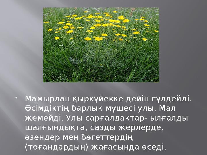 Мамырдан қыркүйекке дейін гүлдейді. Өсімдіктің барлық мүшесі улы. Мал жемейді. Улы сарғалдақтар- ылғалды шалғындықта, сазды