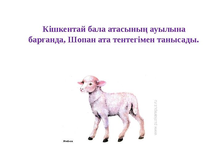 Кішкентай бала атасының ауылына барғанда, Шопан ата тентегімен танысады.