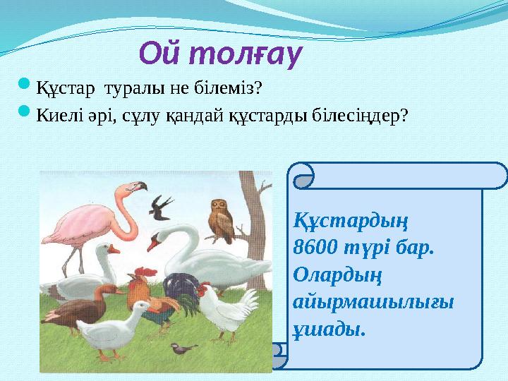 Құстардың 8600 түрі бар. Олардың айырмашылығы ұшады. Ой толғау Құстар туралы не білеміз? Киелі әрі, сұлу қандай құстард