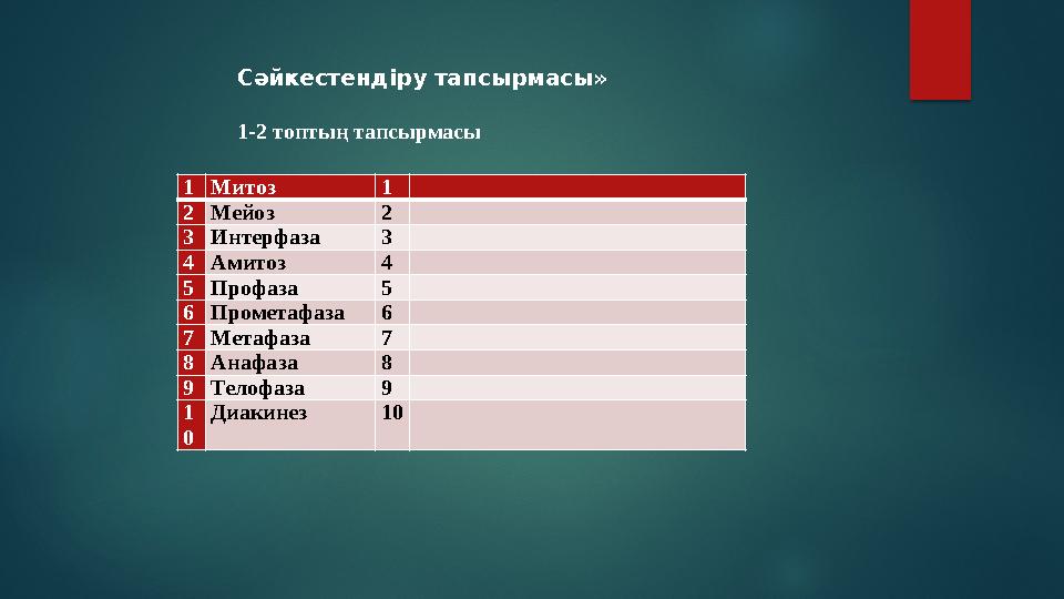 1Митоз 1 2Мейоз 2 3Интерфаза 3 4Амитоз 4 5Профаза 5 6Прометафаза 6 7Метафаза 7 8Анафаза 8 9Телофаза 9 1 0 Диакинез 10
