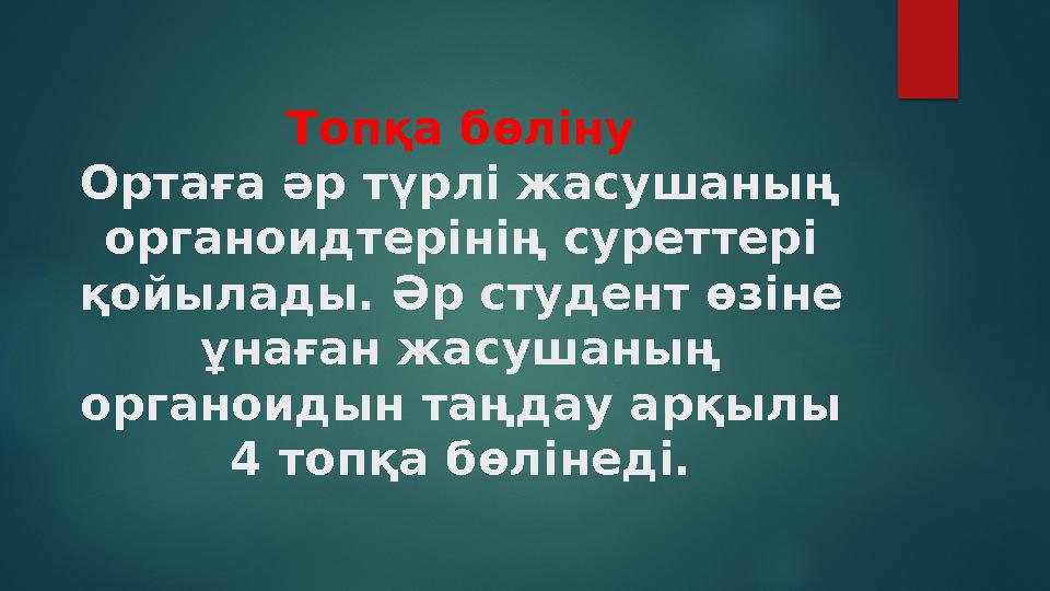 Топқа бөліну Ортаға әр түрлі жасушаның органоидтерінің суреттері қойылады. Әр студент өзіне ұнаған жасушаның органоидын та
