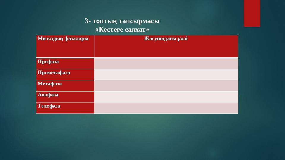 Митоздың фазалары Жасушадағы рөлі Профаза Прометафаза Метафаза Анафаза Телофаза 3- топтың тапсырмасы «Кестеге саяхат