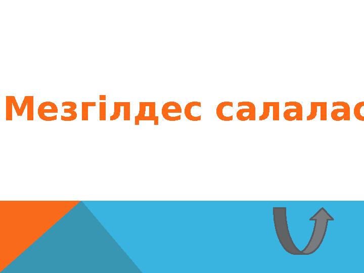 Мезгілдес салалас