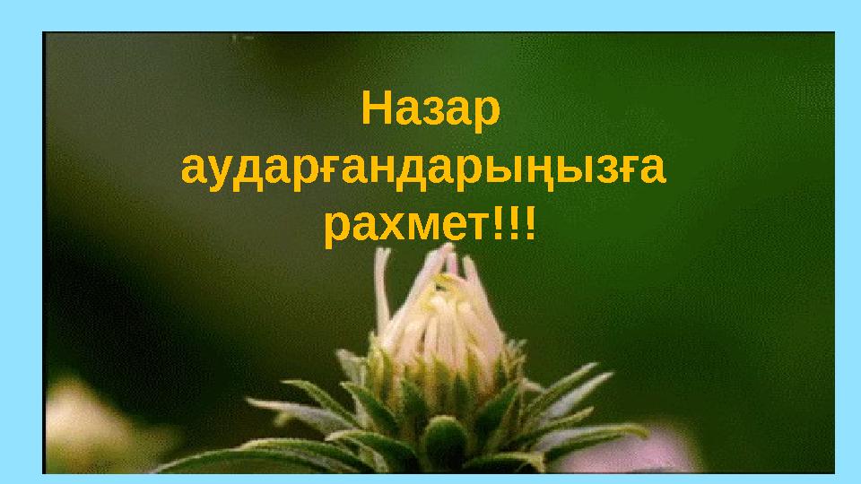 Назар аударғандарыңызға рахмет!!!