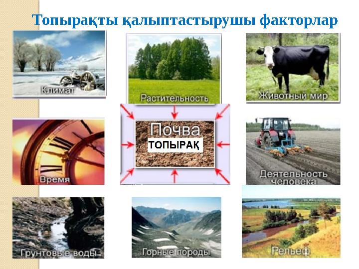 Топырақты қалыптастырушы факторлар