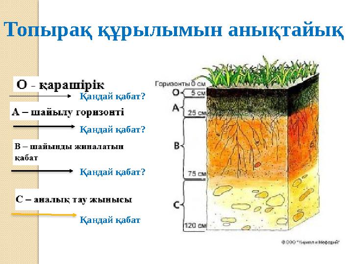 Топырақ құрылымын анықтайық Қандай қабат? Қандай қабат? Қандай қабат? Қандай қабат