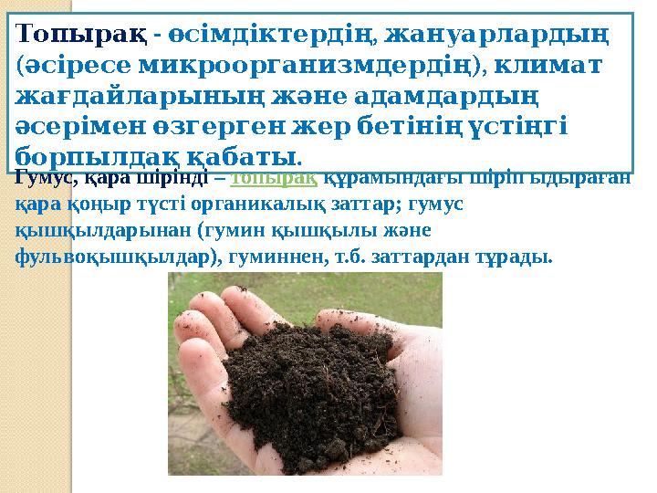 Топырақ - , өсімдіктердің жануарлардың ( ), әсіресемикроорганизмдердің климат жағдайларыныңжәнеадамдардың әсеріменөз