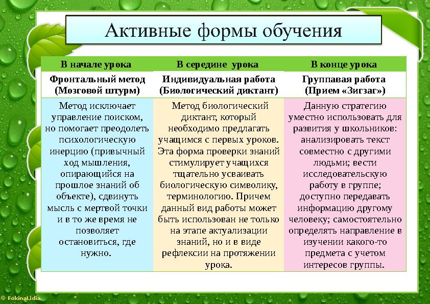© FokinaLidia В начале урока В середине урока В конце урока Фронтальный метод (Мозговой штурм) Индивидуальная работа (Биологич