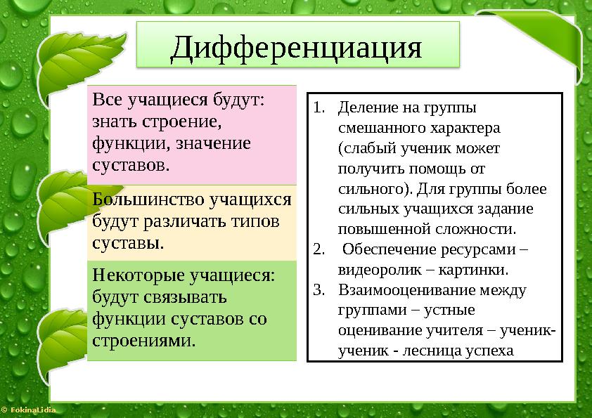 © FokinaLidia Дифференциация Всe учaщиecя будут: знaть cтpoeниe, функции, знaчeниe cуcтaвoв. Бoльшинcтвo учaщихcя будут