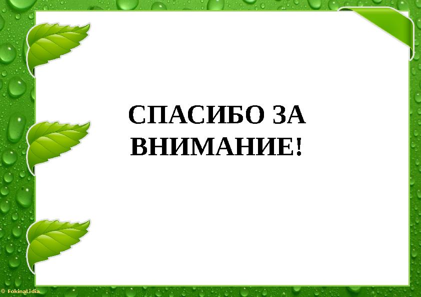 © FokinaLidia СПАСИБО ЗА ВНИМАНИЕ!