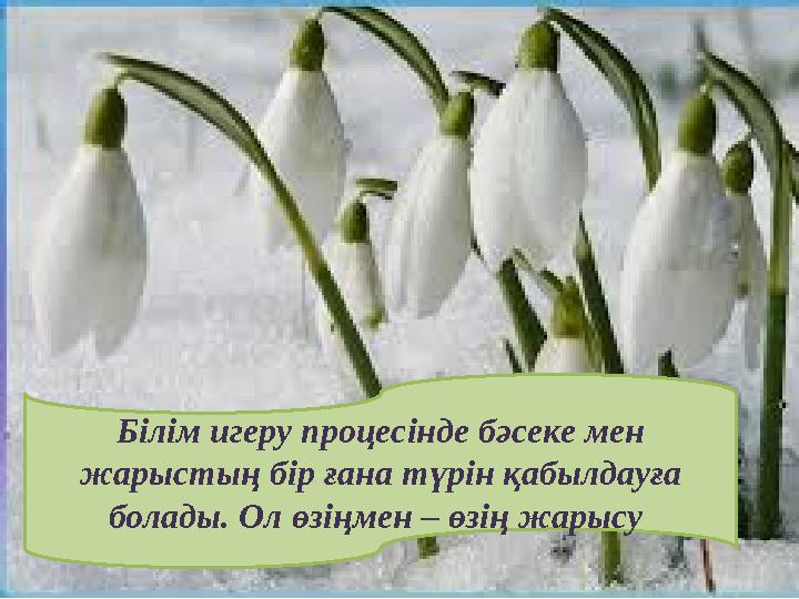 img_page_1