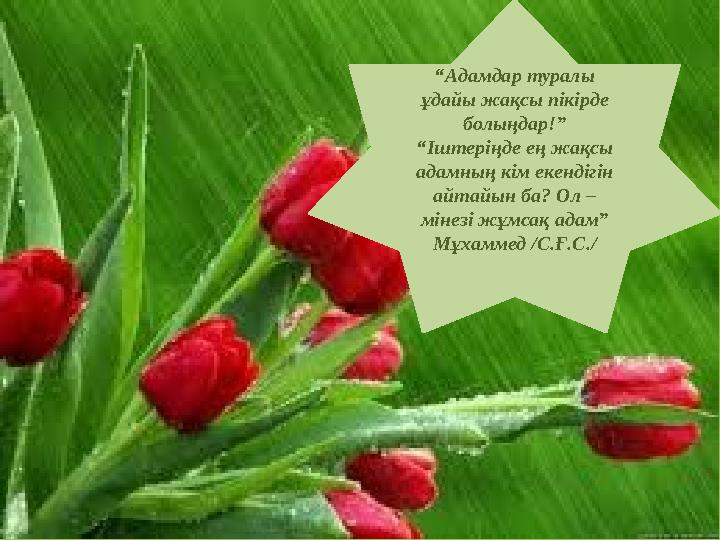 “Адамдар туралы ұдайы жақсы пікірде болыңдар!” “Іштеріңде ең жақсы адамның кім екендігін айтайын ба? Ол – мінезі жұмсақ адам