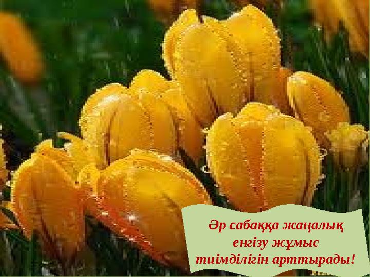 Әр сабаққа жаңалық енгізу жұмыс тиімділігін арттырады!