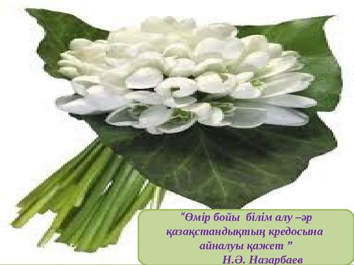 “Өмір бойы білім алу –әр қазақстандықтың кредосына айналуы қажет ” Н.Ә. Назарбаев