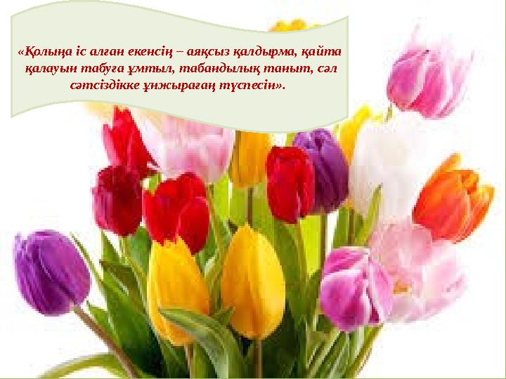 «Қолыңа іс алған екенсің – аяқсыз қалдырма, қайта қалауын табуға ұмтыл, табандылық таныт, сәл сәтсіздікке ұнжырағаң түспесін»